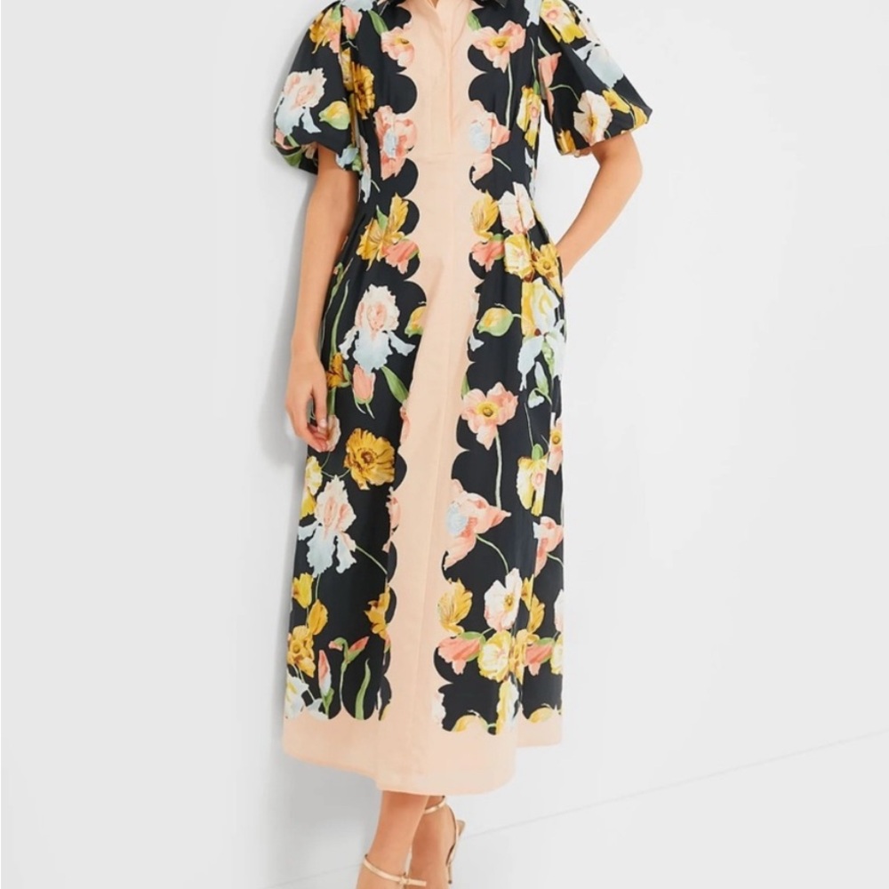 Tuckernuck Moonlit Iris Delaney Dress